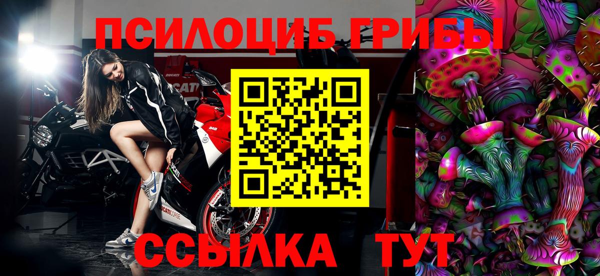 Галлюциногенные грибы Psilocybe  Вход с VPN  Чайковский 