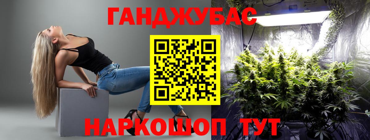 Бошки Шишки VHQ  Бошки Шишки ГИДРОПОН  Вход с VPN  МАРИХУАНА индика  Чайковский 